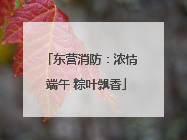 东营消防：浓情端午 粽叶飘香